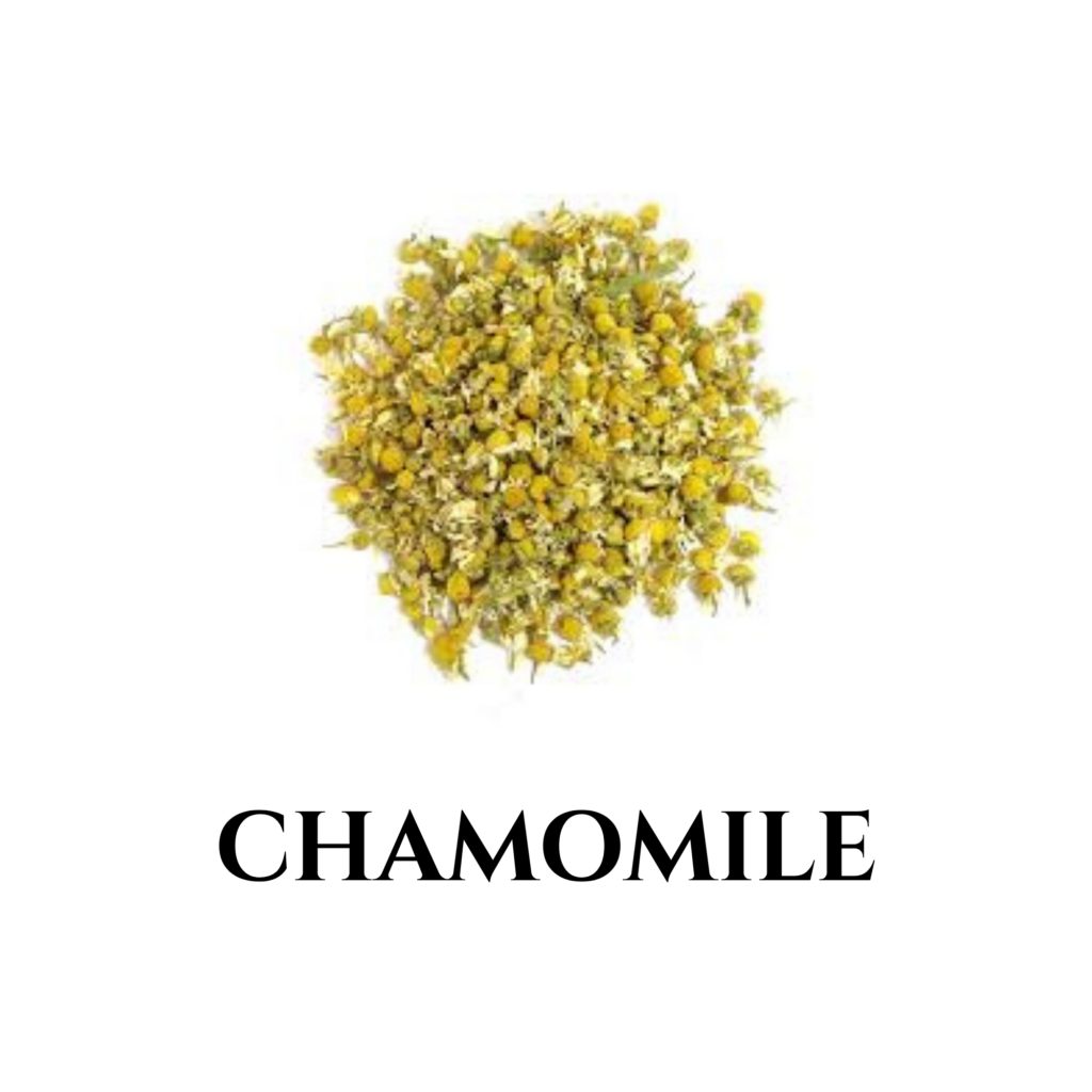 Greek Chamomile pile of dried flowers for tea